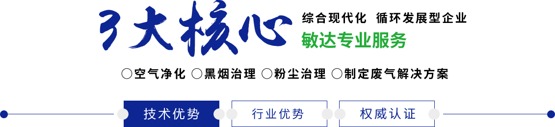 欧美,日韩国产大鸡巴日小屄视频敏达环保科技（嘉兴）有限公司